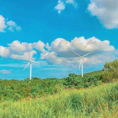 河北省2024年迎峰度夏能源保供和“三夏”生产工作会议召开